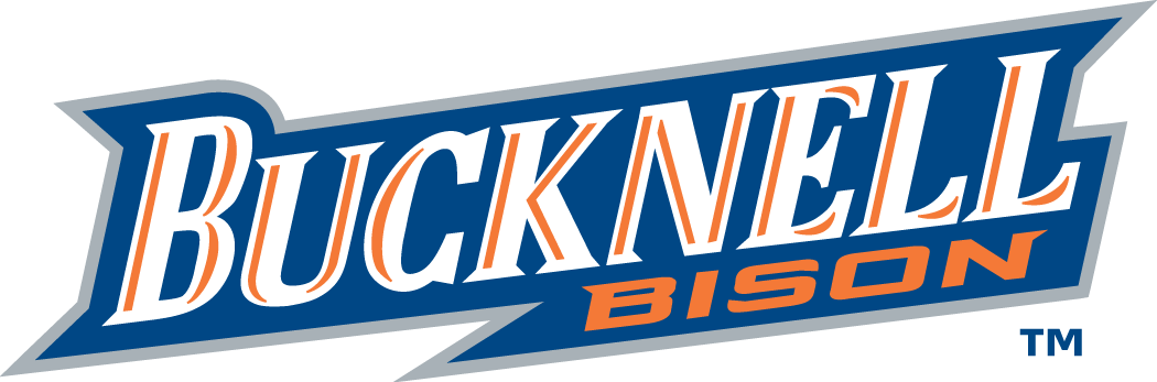 Bucknell Bison 2002-Pres Wordmark Logo t shirts DIY iron ons v2